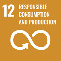 Responsible Consumption and Production